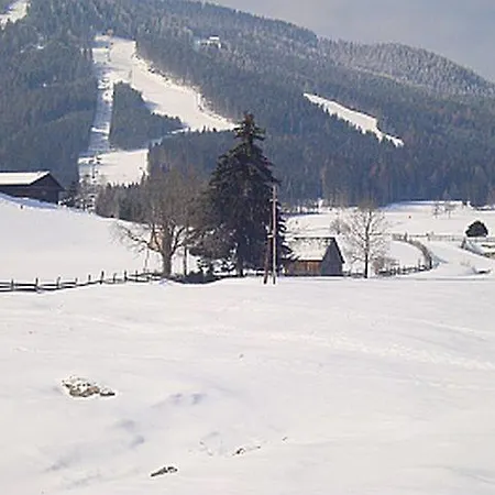 Alpenblume * Schladming