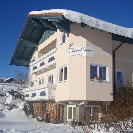 Alpenblume Apartament Schladming