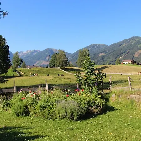 Alpenblume * Schladming