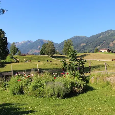 Alpenblume * Schladming