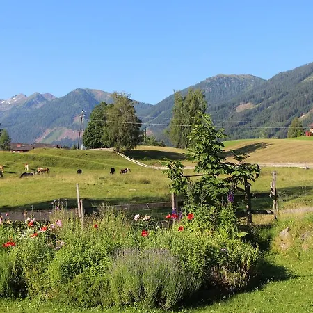 Alpenblume Apartament