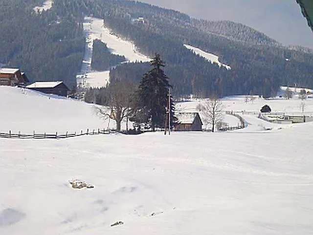 Alpenblume * Шладминг