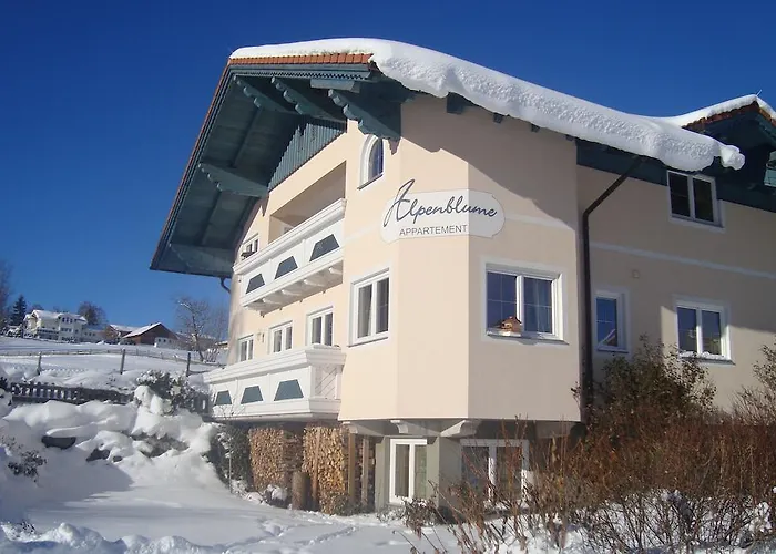 Alpenblume Apartman Schladming