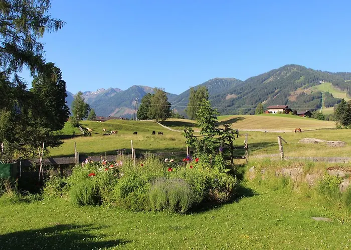 Alpenblume * Schladming